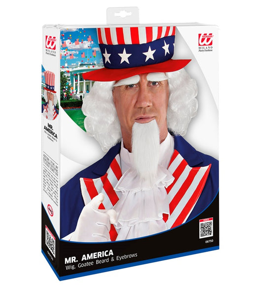 Mr. America Wig, Goatee Beard & Eye Brow In Box