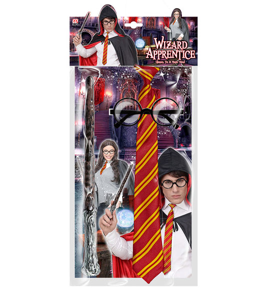 Wizard Apprentice Student Glasses With Lenses, Tie, Magic Wand
