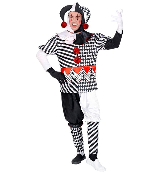 Harlequin Coat, Pants, Headpiece, Gloves