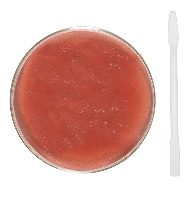 Fx Derma Wax Set In Clam Shell Derma Wax 25 G, Spatula
