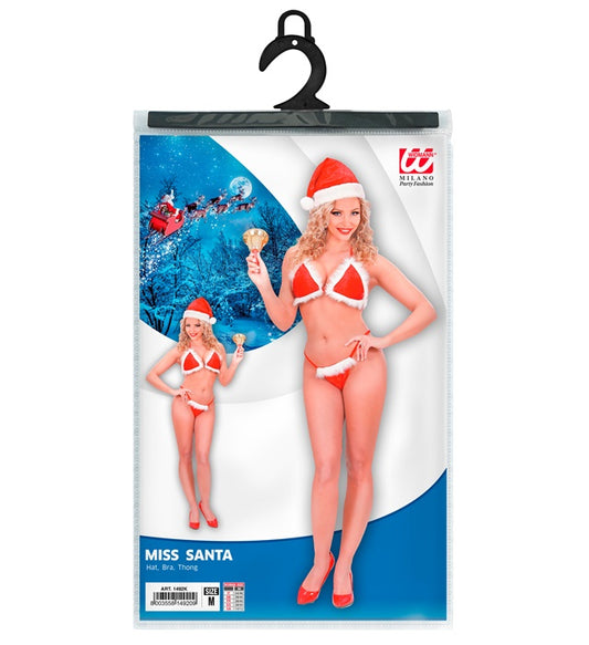 Christmas Bikini Velvet & Plush Hat, Bra, Thong