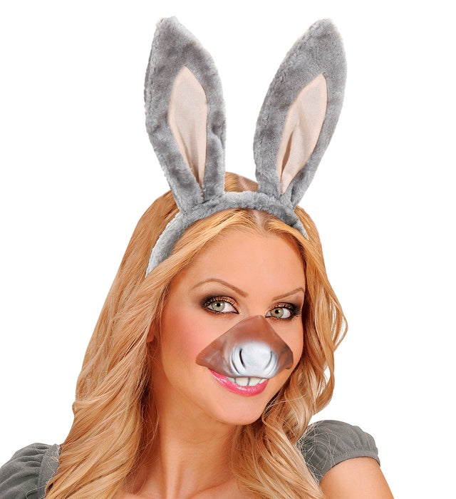 Donkey Sets Ears, Mouth
