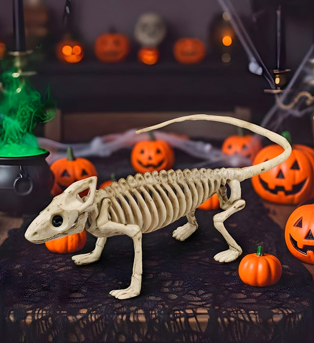 Iguana Skeleton 43 Cm