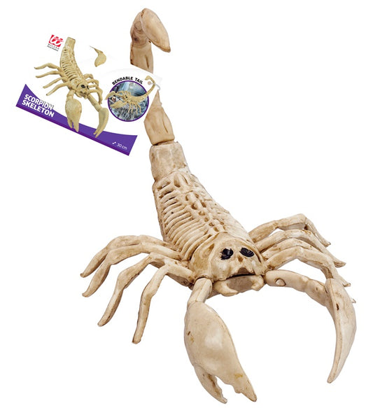 Scorpion Skeleton 30 Cm