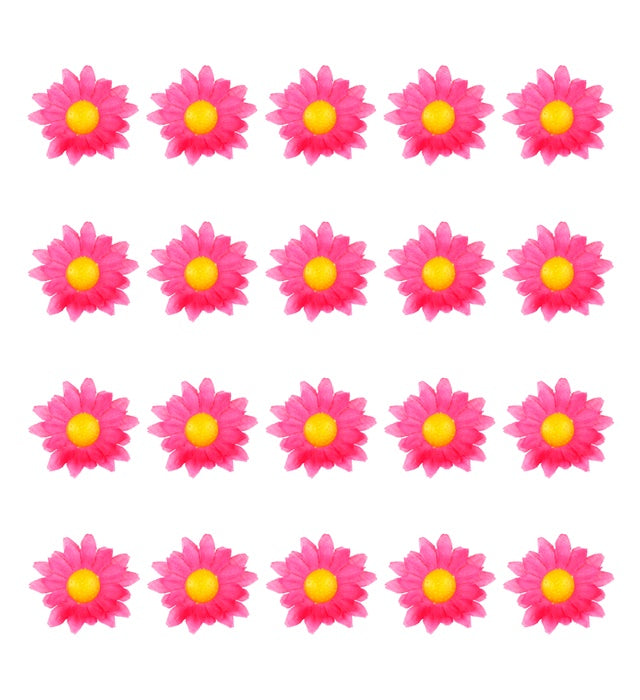 Box Of 20 Fuchsia Decorative Daisy Flowers