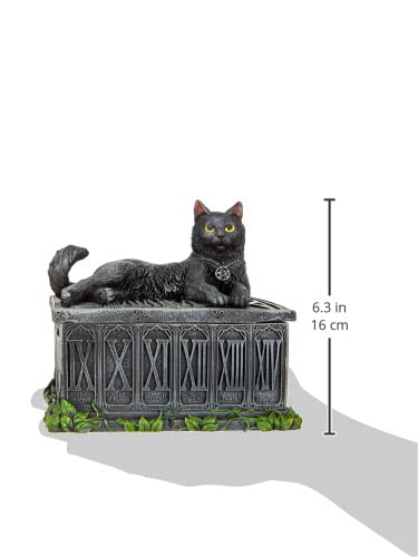 Fortunes Watcher Cat Familiar Tarot Box Fortunes 17cm