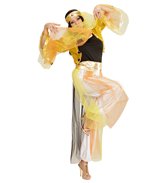 Harem Dancer Shirt, Sequin Jacket, Pants With Veils, Belt, Headpiece With Veils