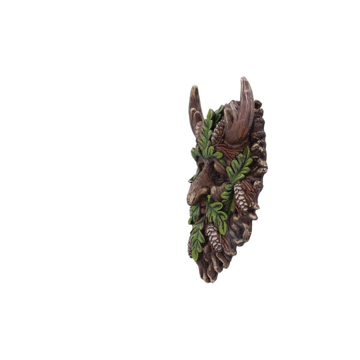 Bryn Wall Mounted Tree Spirit 20.8cm