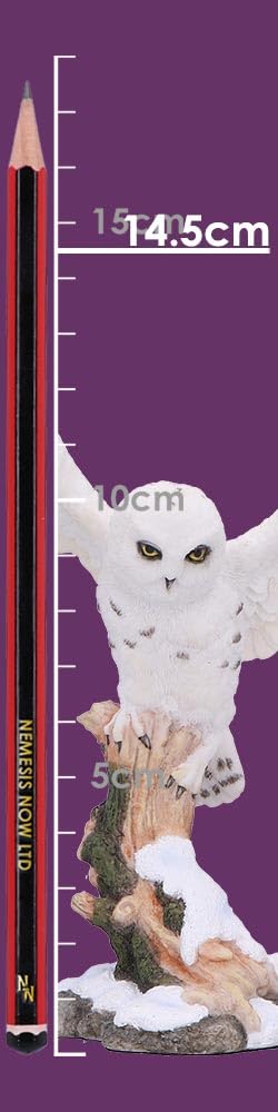 Snowfall Majestic Owl In Winter Scene 18cm
