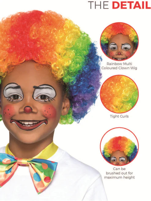 Childs Clown Wig Multi Coloured Afro Styled Circus Costume Rainbow Hair