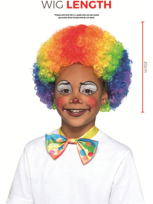 Childs Clown Wig Multi Coloured Afro Styled Circus Costume Rainbow Hair