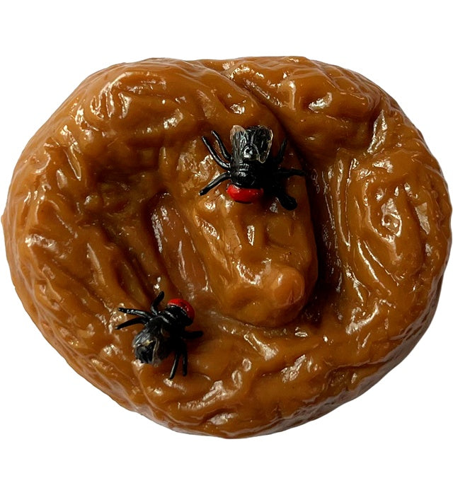 Sticky Shit With Flies