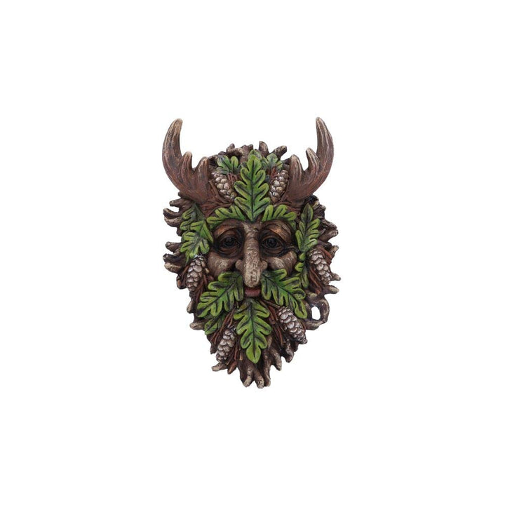 Bryn Wall Mounted Tree Spirit 20.8cm