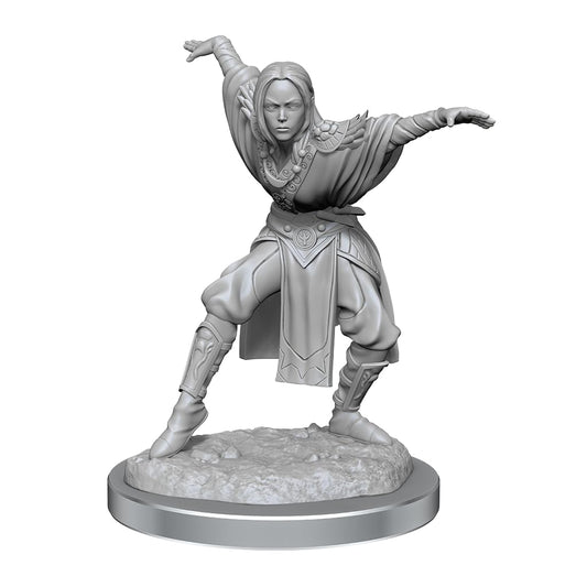 Half-Elf Monk Female: Pathfinder Deep Cuts Unpainted Miniatures (W21) 2