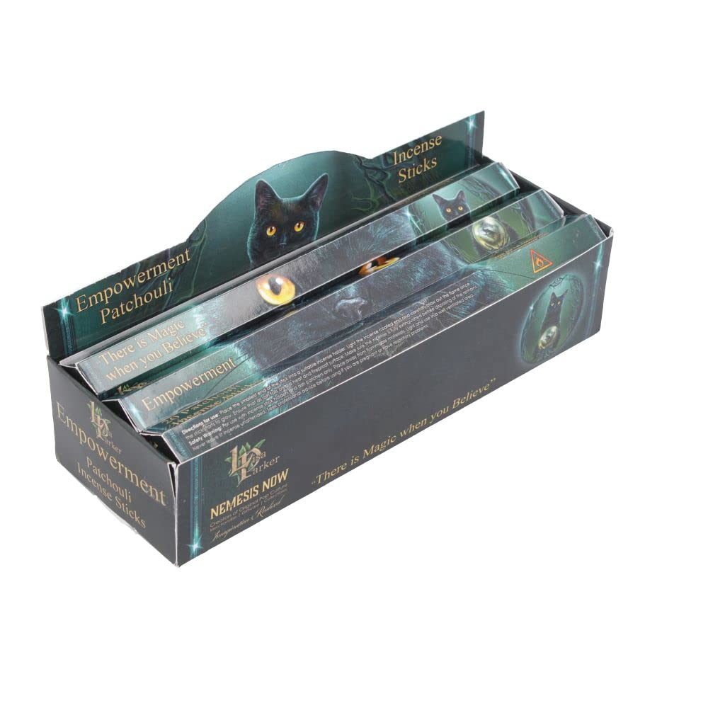 Lisa Parker Patchouli Scented Empowerment Incense Sticks