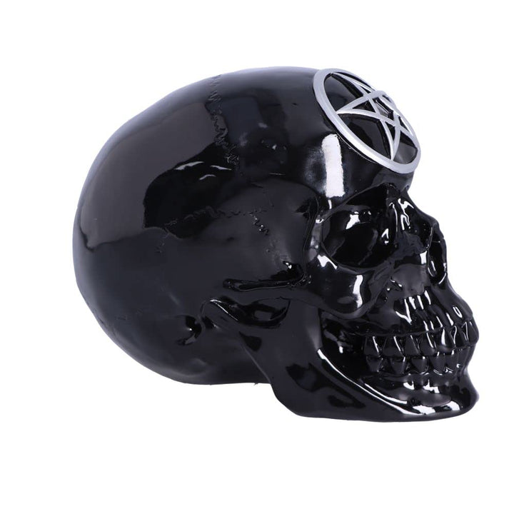 Black Magic Skull 19.5cm
