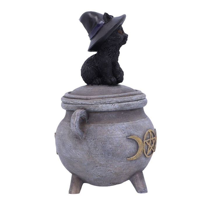 Witch Cat Cauldron Box 14cm Kittys Brew