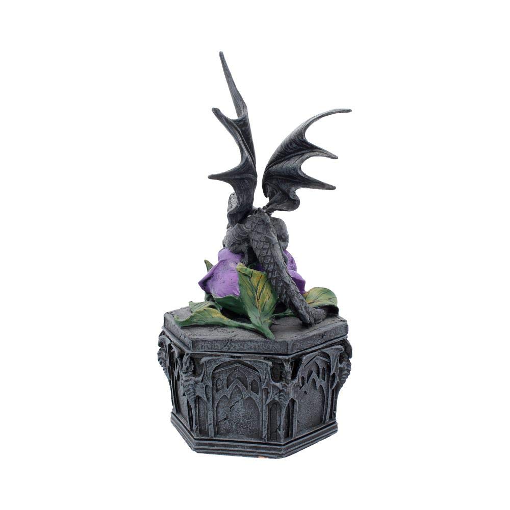 Anne Stokes Dragon Beauty Valentine Box 25cm