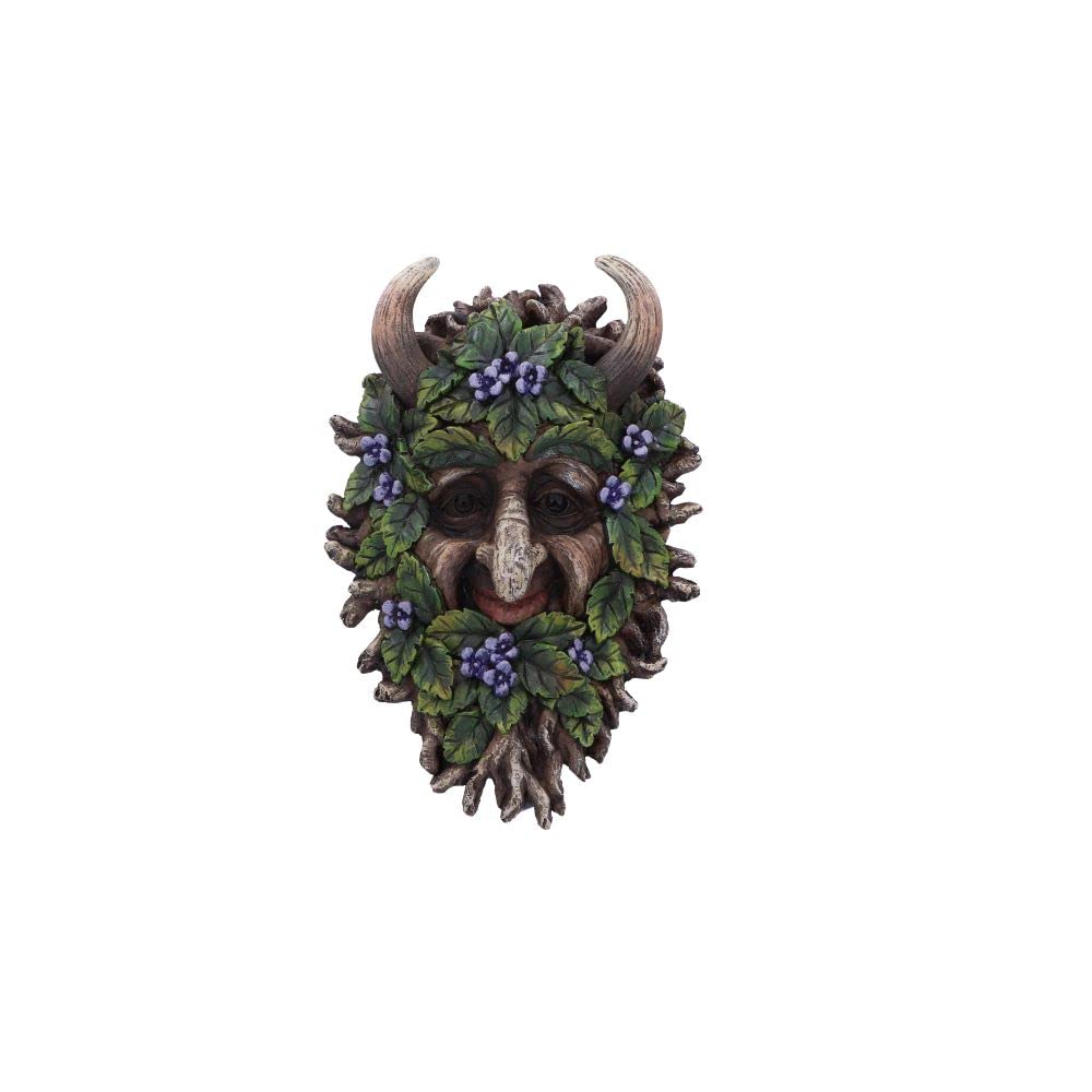 Alder Wall Mounted Tree Spirit 20.2cm