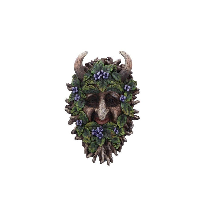 Alder Wall Mounted Tree Spirit 20.2cm