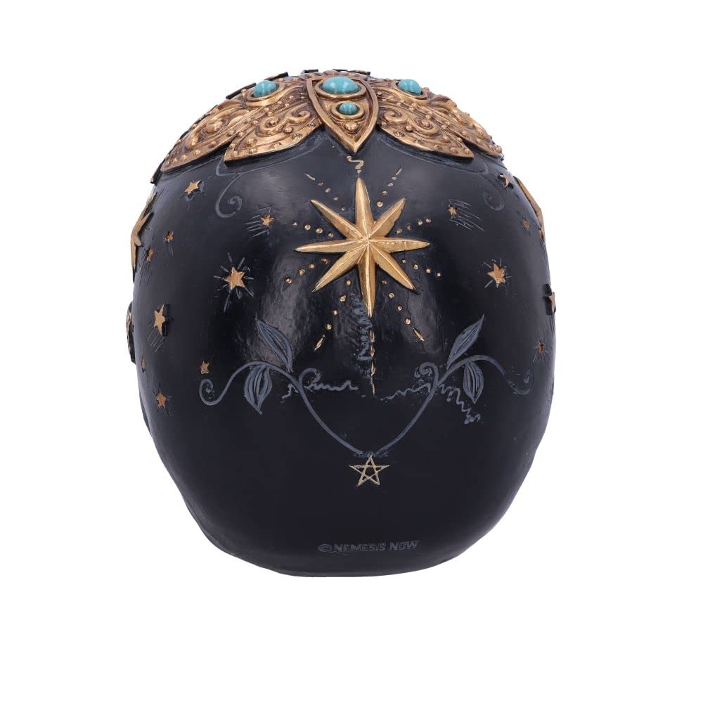 Destiny Palmistry Skull 18cm