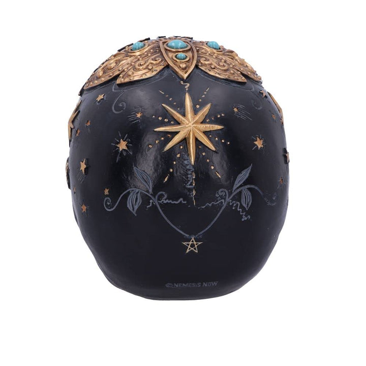Destiny Palmistry Skull 18cm
