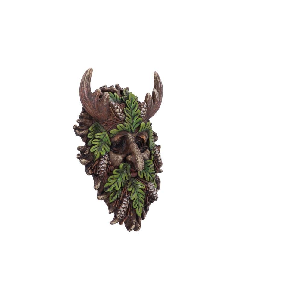 Bryn Wall Mounted Tree Spirit 20.8cm