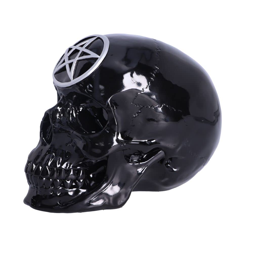 Black Magic Skull 19.5cm