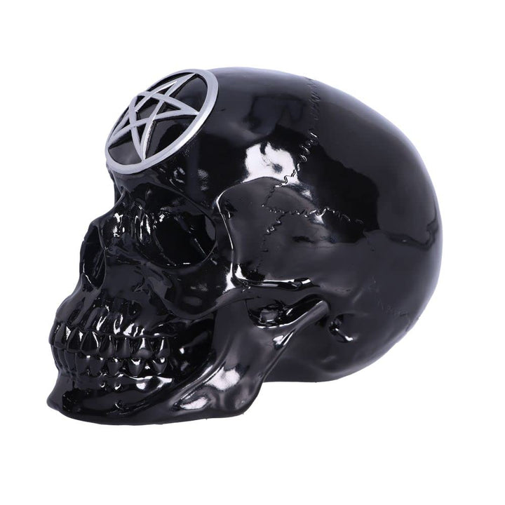 Black Magic Skull 19.5cm