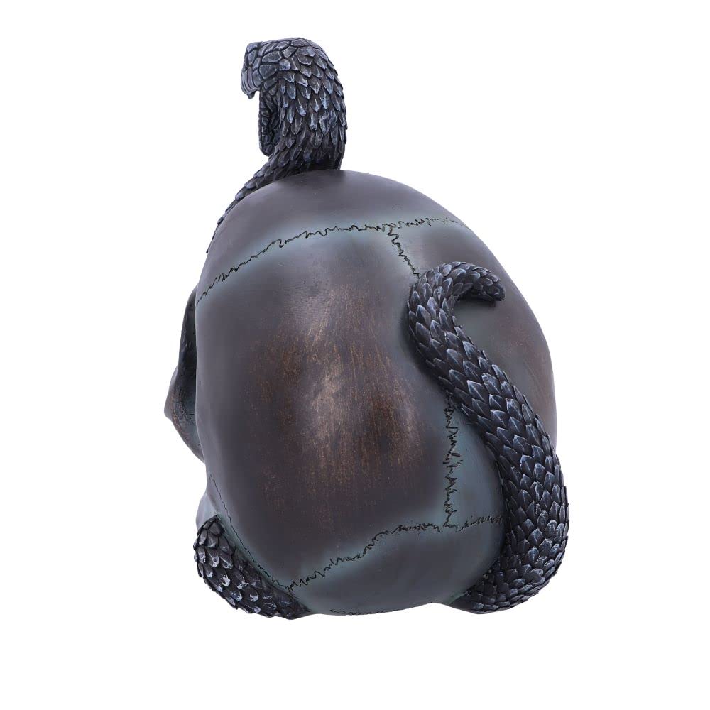 Serpentine Fate Gothic Snake Skull 19cm