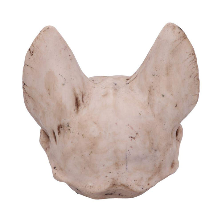 Bastets Secret Cat Skull Figurine Ornament Bastets 15cm