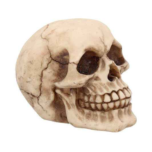 Joker Skull Ornament 12cm 2