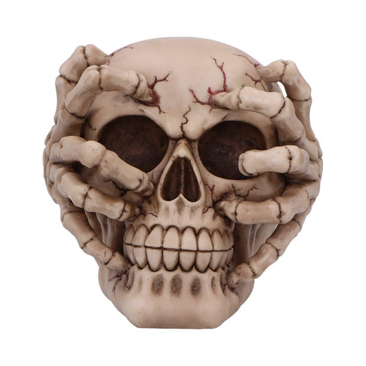 Cracked Decorative Resin Skull 15cm 2