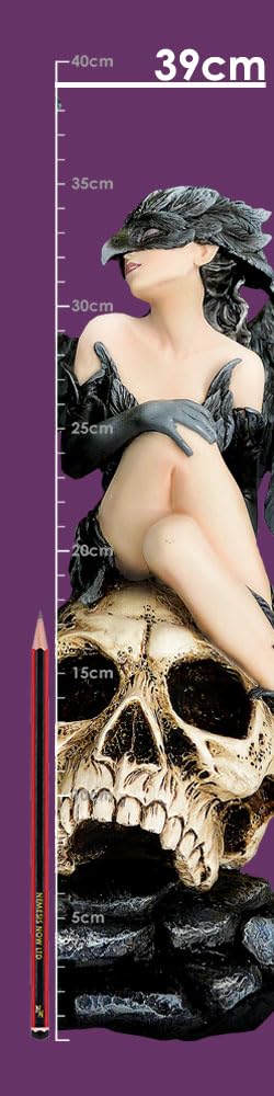 Riven Gothic Winged Figurine Seated on Skull 35cm Statue 8