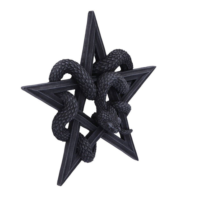 Serpents Worship Snake Wall Plaque 24cm Serpents