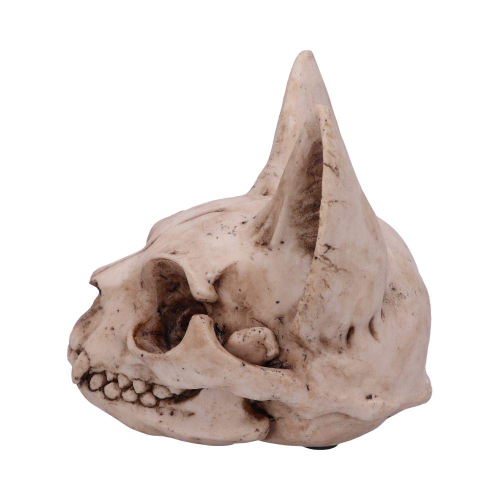 Bastets Secret Cat Skull Figurine Ornament Bastets 15cm