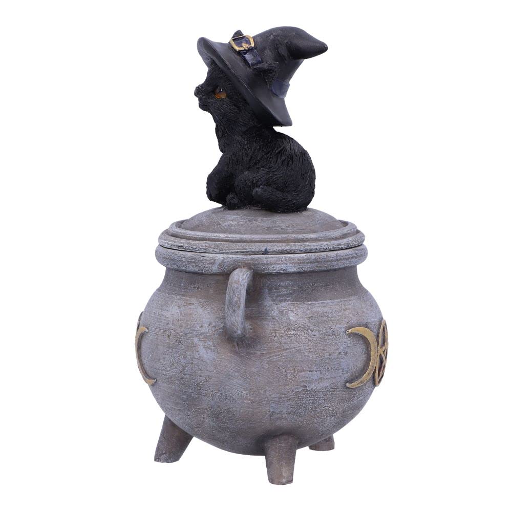 Witch Cat Cauldron Box 14cm Kittys Brew
