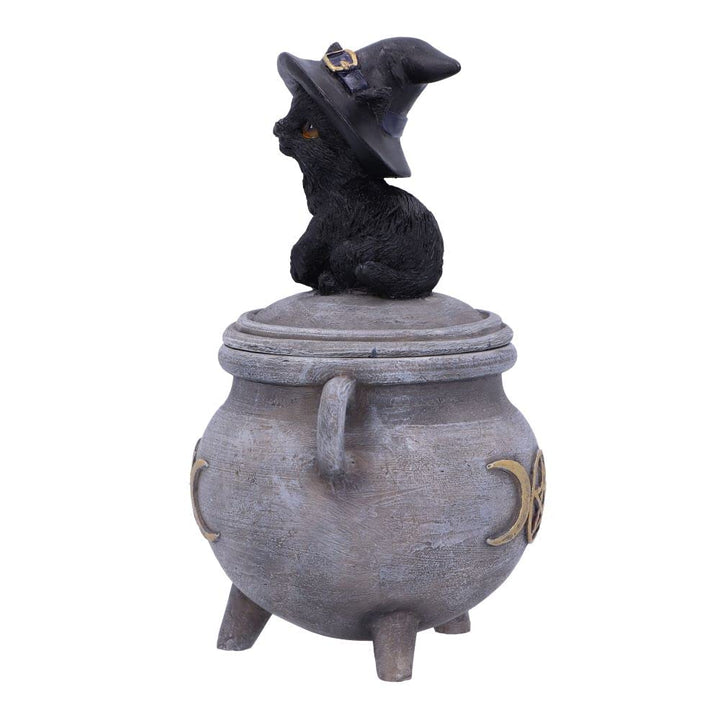 Witch Cat Cauldron Box 14cm Kittys Brew