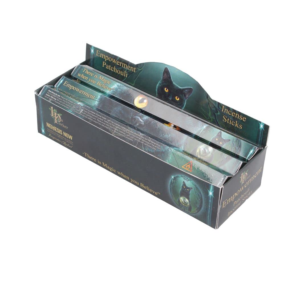 Lisa Parker Patchouli Scented Empowerment Incense Sticks