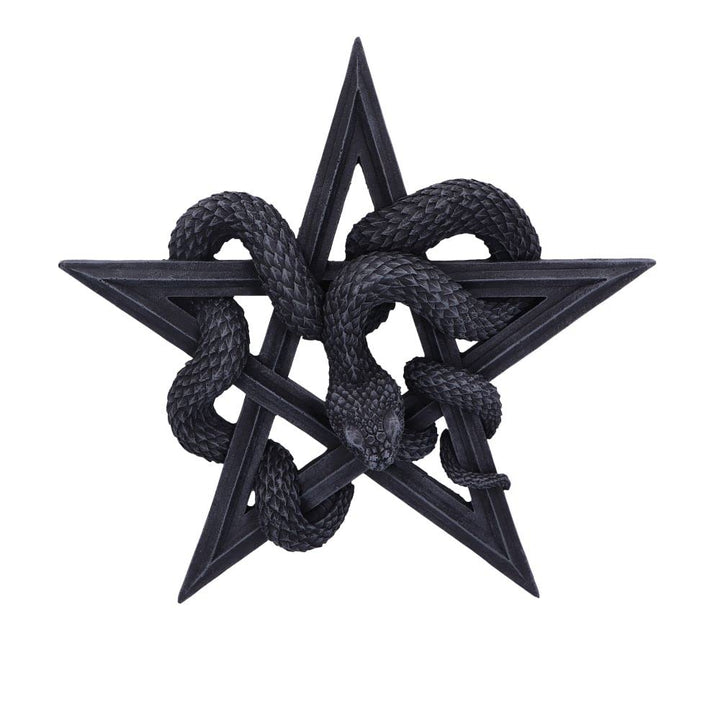 Serpents Worship Snake Wall Plaque 24cm Serpents