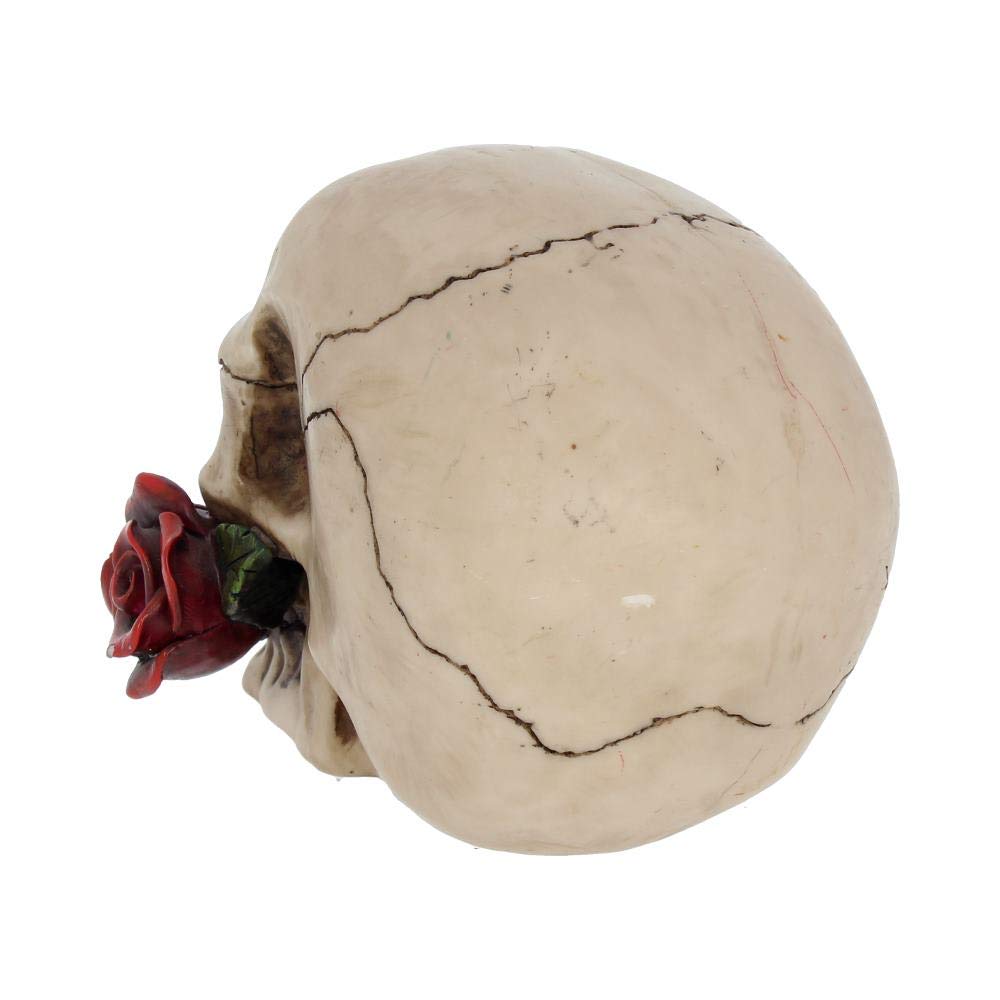 Rose From the Dead Skull Ornament 15cm