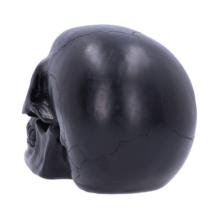 Geode Skull Black Green Gothic Glitter Figurine 17cm