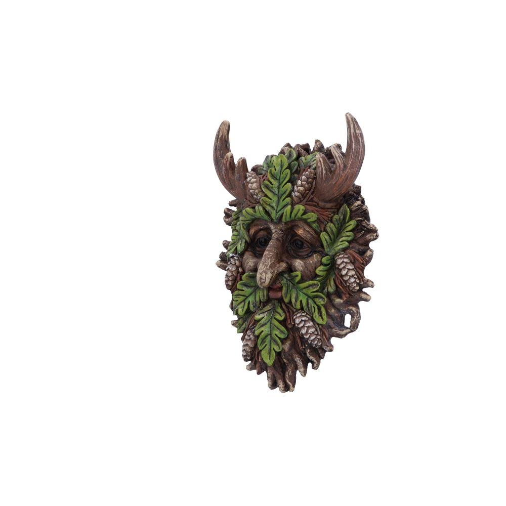 Bryn Wall Mounted Tree Spirit 20.8cm