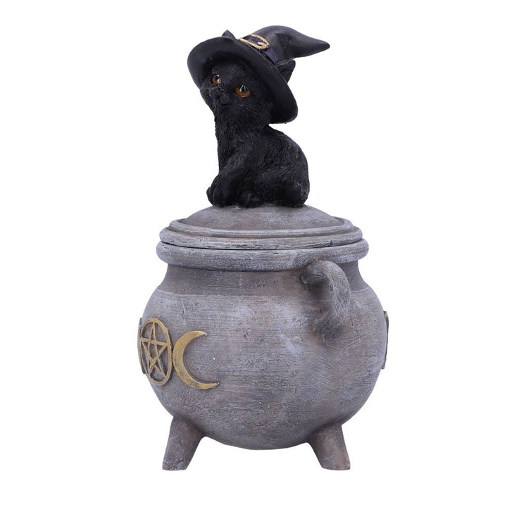 Witch Cat Cauldron Box 14cm Kittys Brew