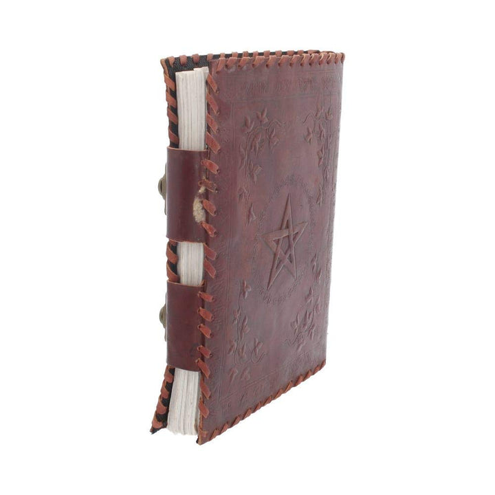 Small Book of Shadow Leather Journal 25cm