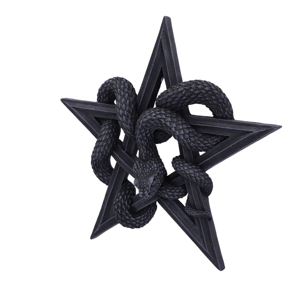 Serpents Worship Snake Wall Plaque 24cm Serpents