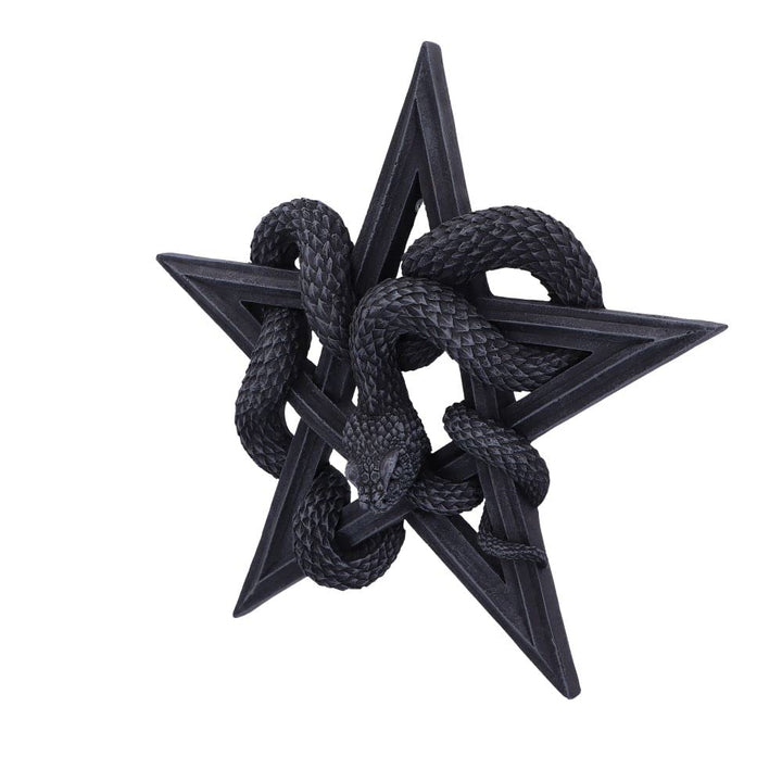 Serpents Worship Snake Wall Plaque 24cm Serpents