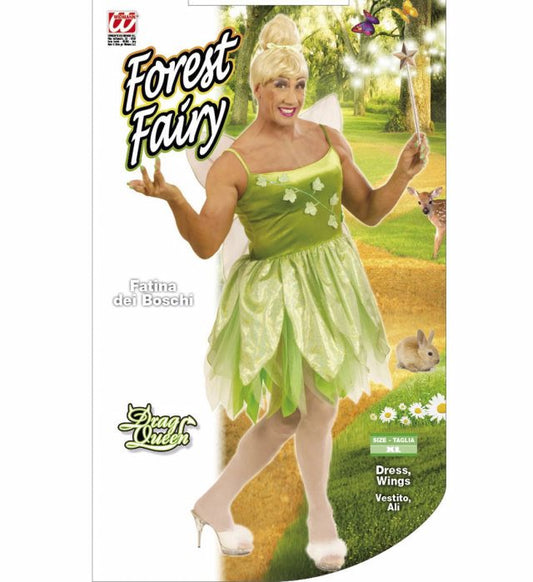 Fairy Dress, Wings