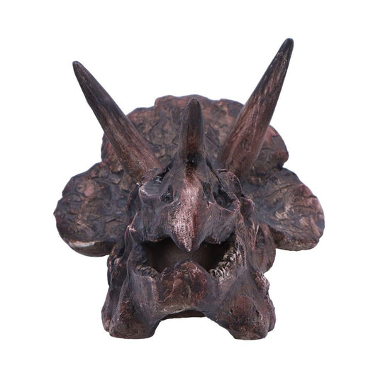 Triceratops Skull Resin Replica 14.5cm 2