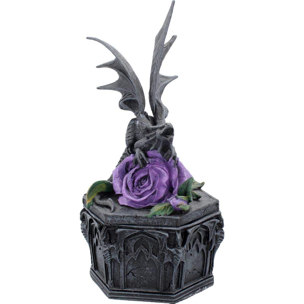 Anne Stokes Dragon Beauty Valentine Box 25cm